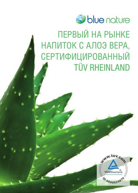 amway katalogs ar cenām